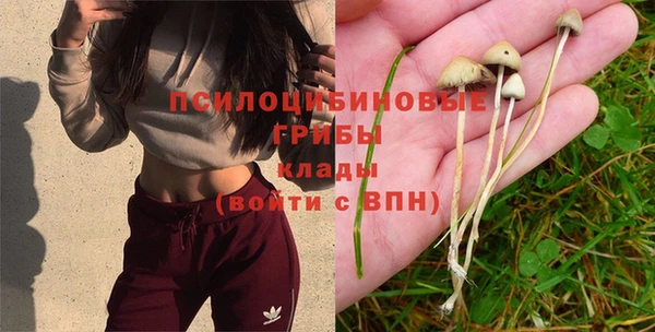 эйфоретик Арсеньев
