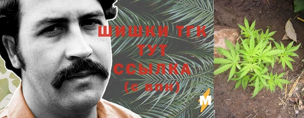 стаф Армянск