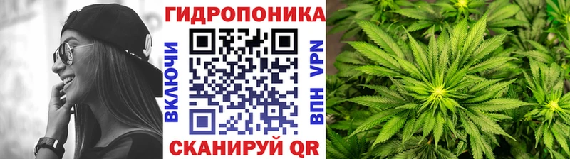 Бошки марихуана планчик Буинск